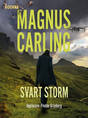 cover image of Svart storm